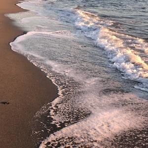 Meet your Posher, Faye